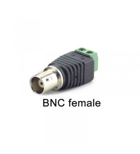 BNCH1R2 PLUG BNC HEMBRA CON...