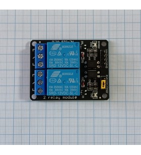 Módulo Relé 2 Canales 12V